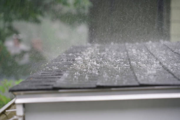 Best Roof Maintenance and Cleaning  in Wilkinsburg, PA