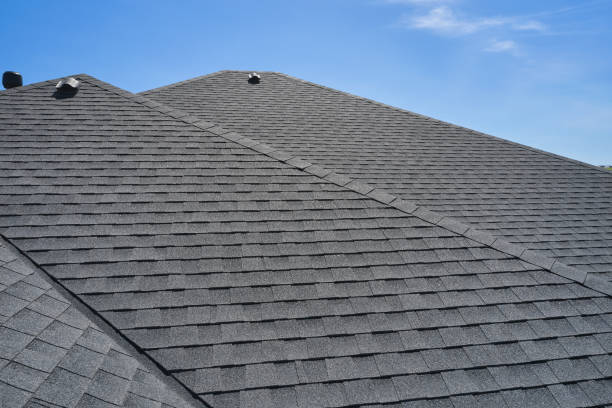 Best Sheet Metal Roofing  in Wilkinsburg, PA