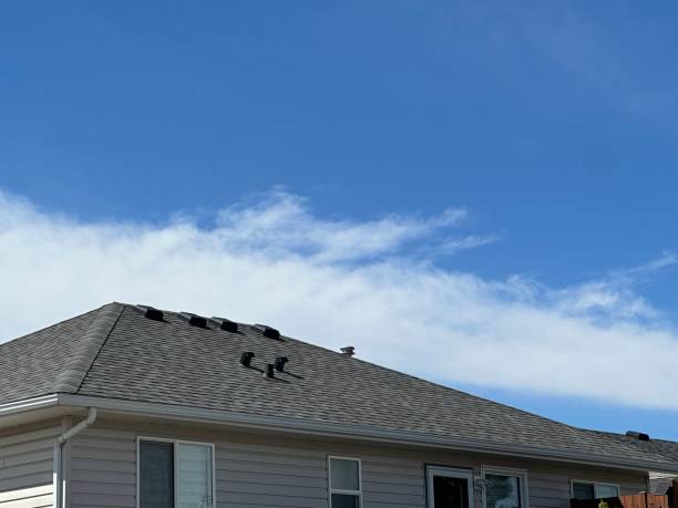 Best Flat Roofing  in Wilkinsburg, PA
